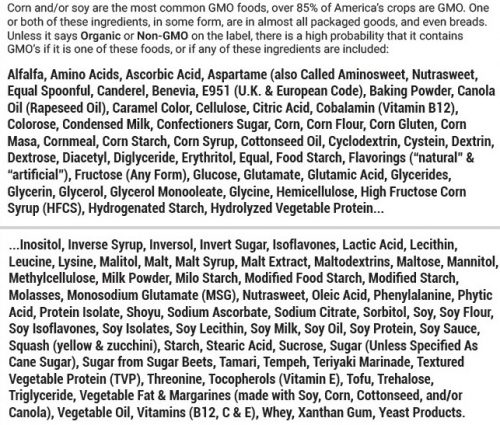 GMO Food List